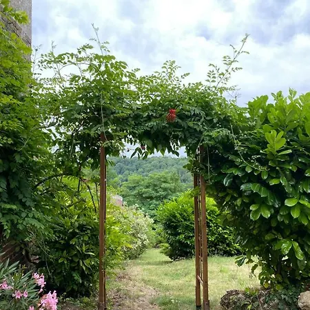 Le 33 : Maison Bourgeoise De Caractere A *